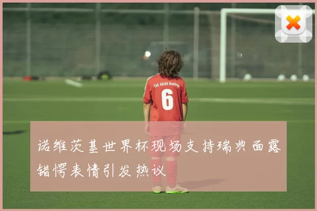 诺维茨基世界杯现场支持瑞典面露错愕表情引发热议