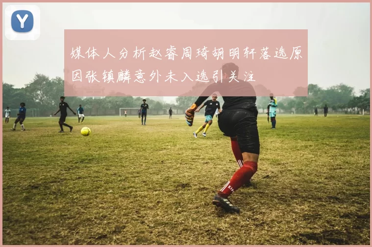 媒体人分析赵睿周琦胡明轩落选原因张镇麟意外未入选引关注